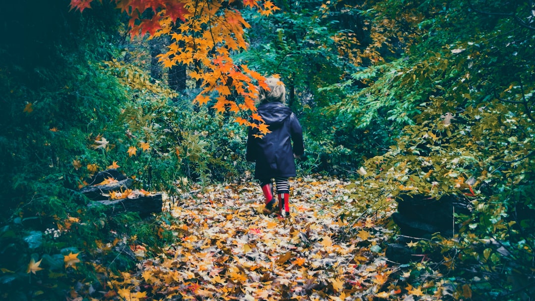 L'accueil de la petite enfance